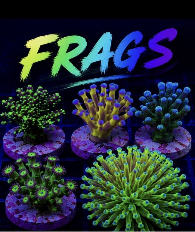Frags