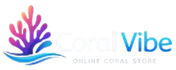 CoralVibe - Home